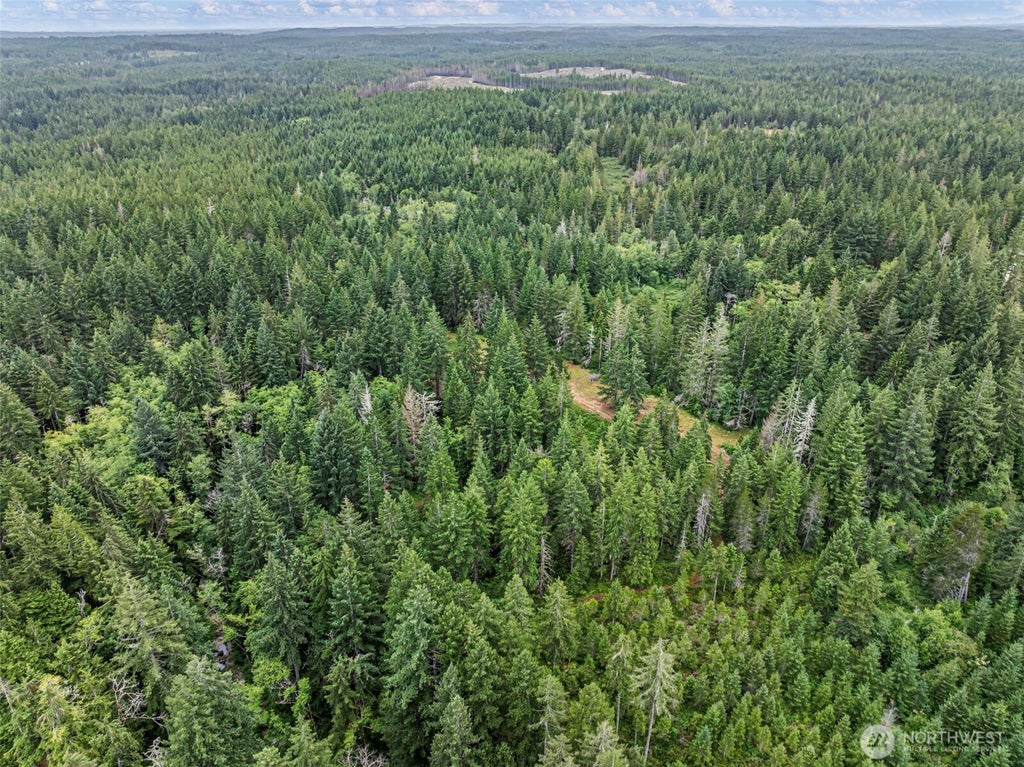 Photo of 80 NE Smithy Forge Lane, Belfair, WA 98528 (MLS # 2545760)