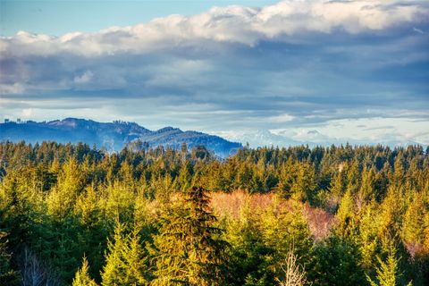 14010 Quiet Waters Lane SW Rochester WA 98579