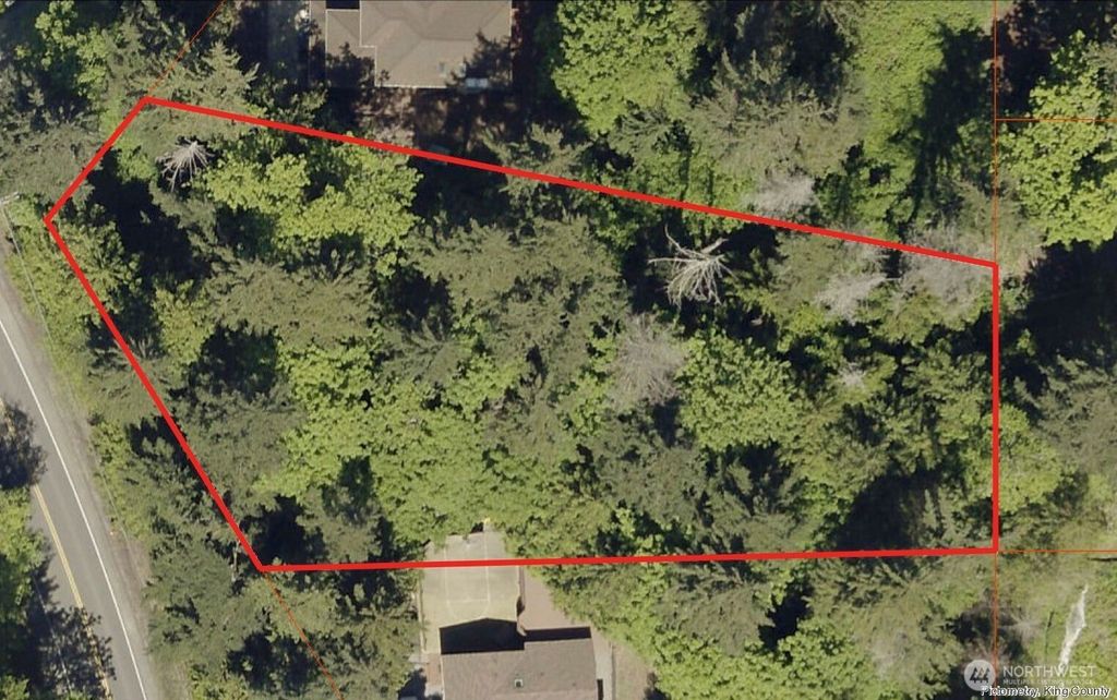 Photo of 100 210th Avenue NE, Sammamish, WA 98074 (MLS # 2503752)