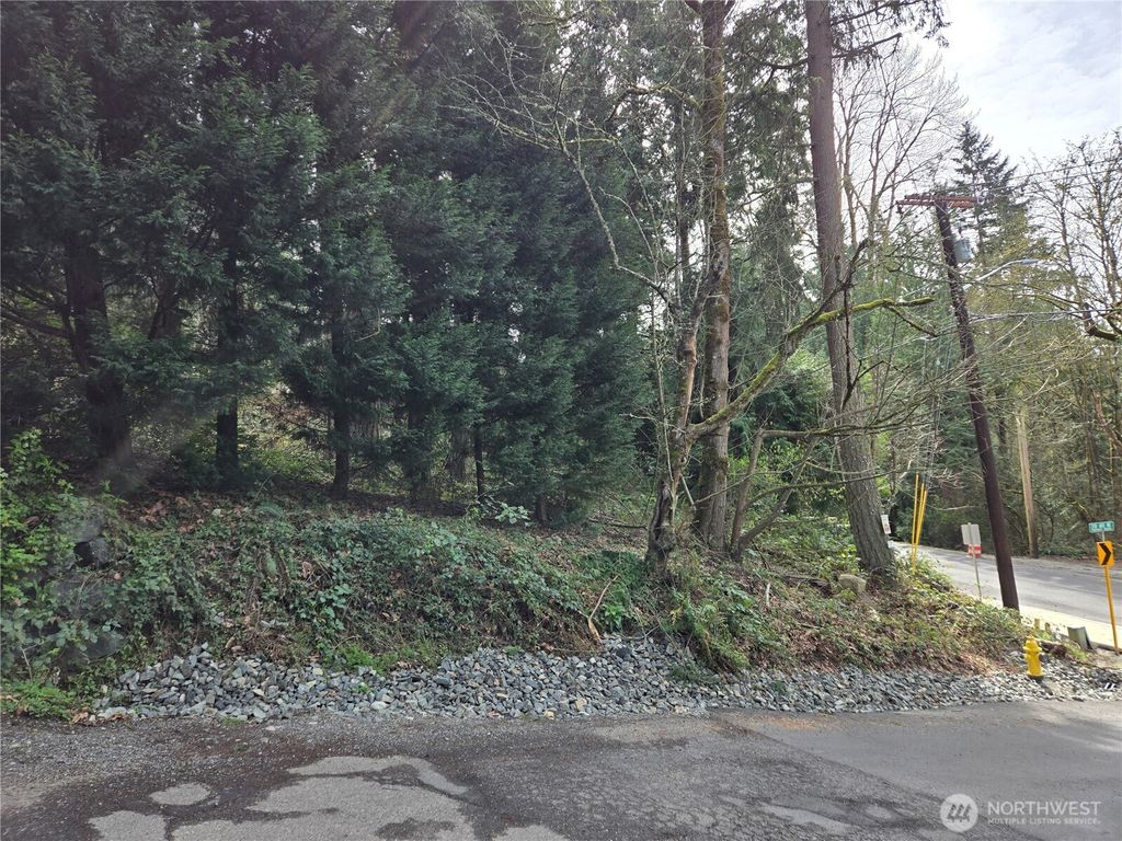 Photo of 100 210th Avenue NE, Sammamish, WA 98074 (MLS # 2503752)
