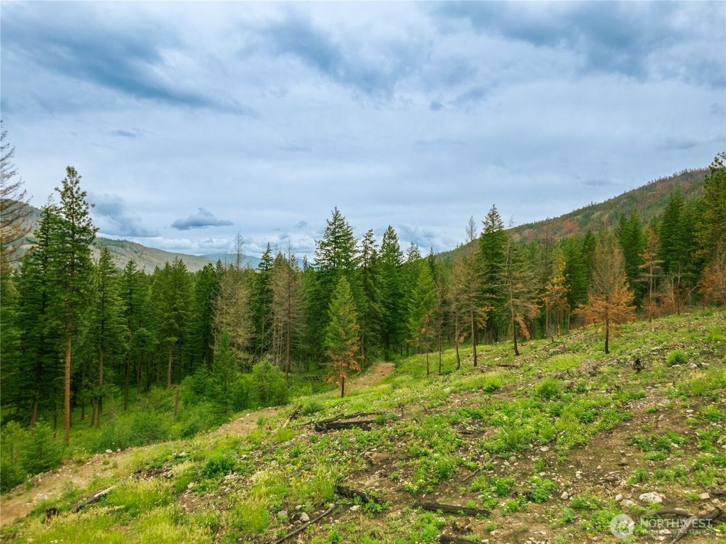 Photo of 0 Wolf Creek Road, Mazama, WA 98833 (MLS # 2492198)