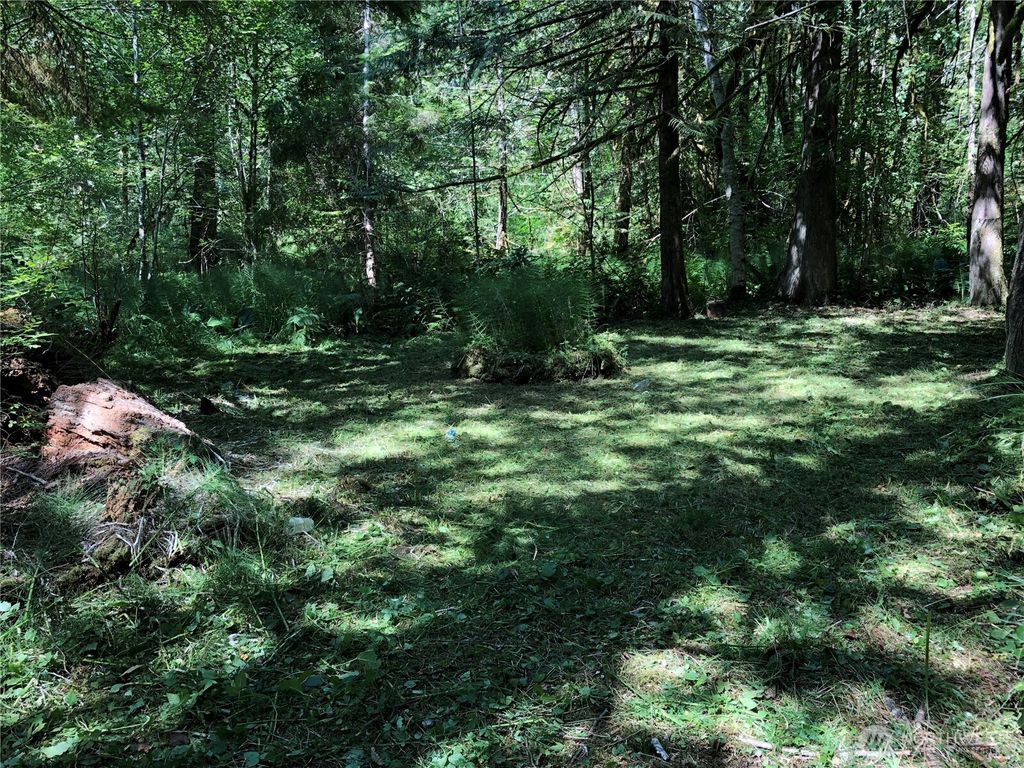 Photo of 90 E Lakeshore Drive E, Shelton, WA 98584 (MLS # 2504994)