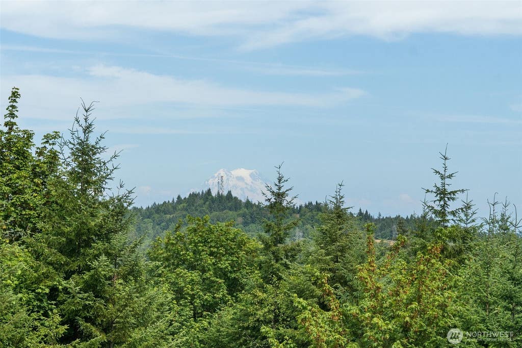 Photo of 4737 Gold Ridge Lane SW, Olympia, WA 98512 (MLS # 2551709)