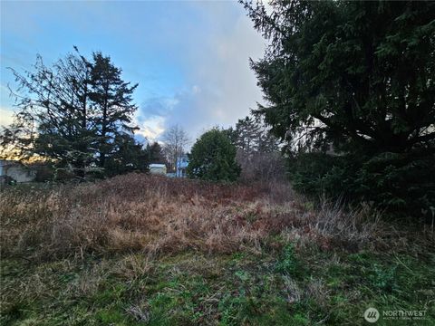 19 N 3rd Street Pacific Beach WA 98571