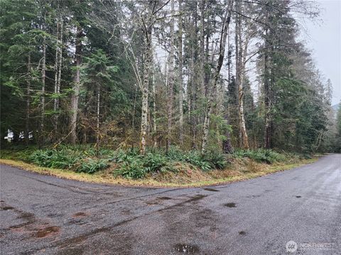 56519 380 Avenue Ct E Ashford WA 98304