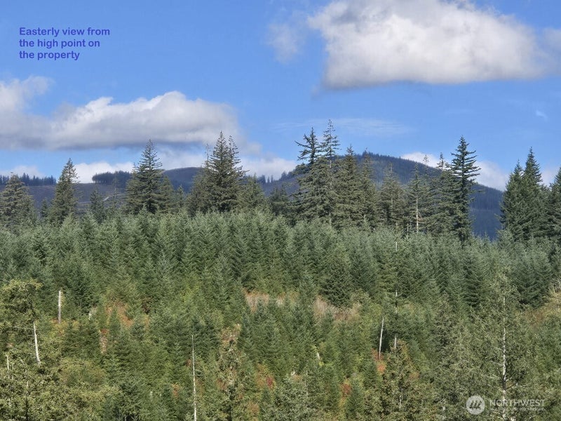 1051 SKAMANIA MINES Road