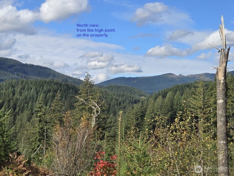 1051 SKAMANIA MINES Road