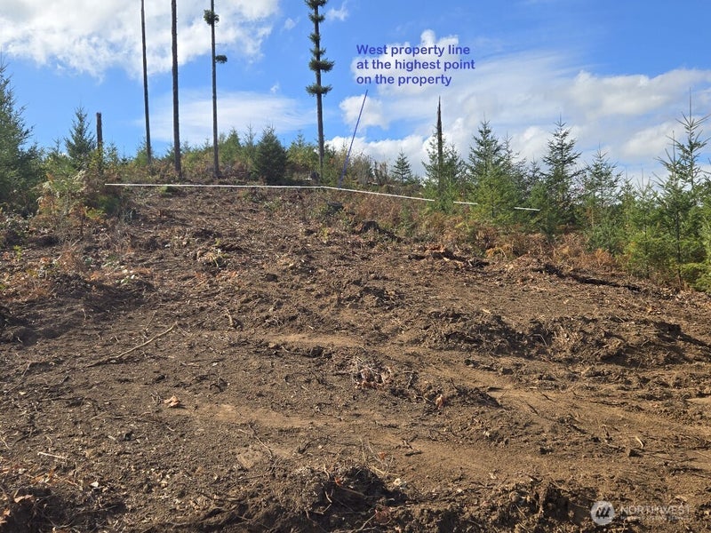 1051 SKAMANIA MINES Road