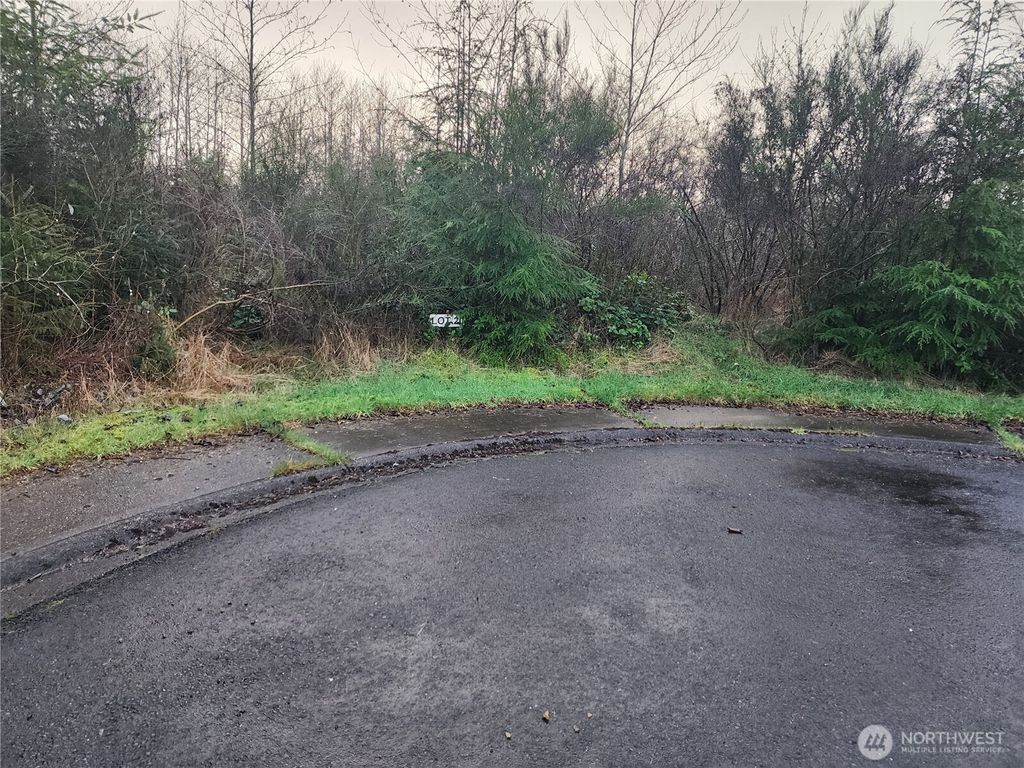 Photo of 0 Murre Ct, Hoquiam, WA 98550 (MLS # 2480023)
