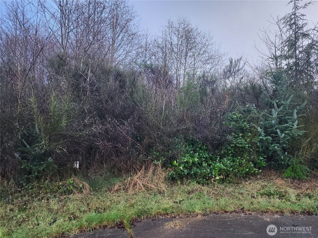 Photo of 0 Murre Ct, Hoquiam, WA 98550 (MLS # 2480023)