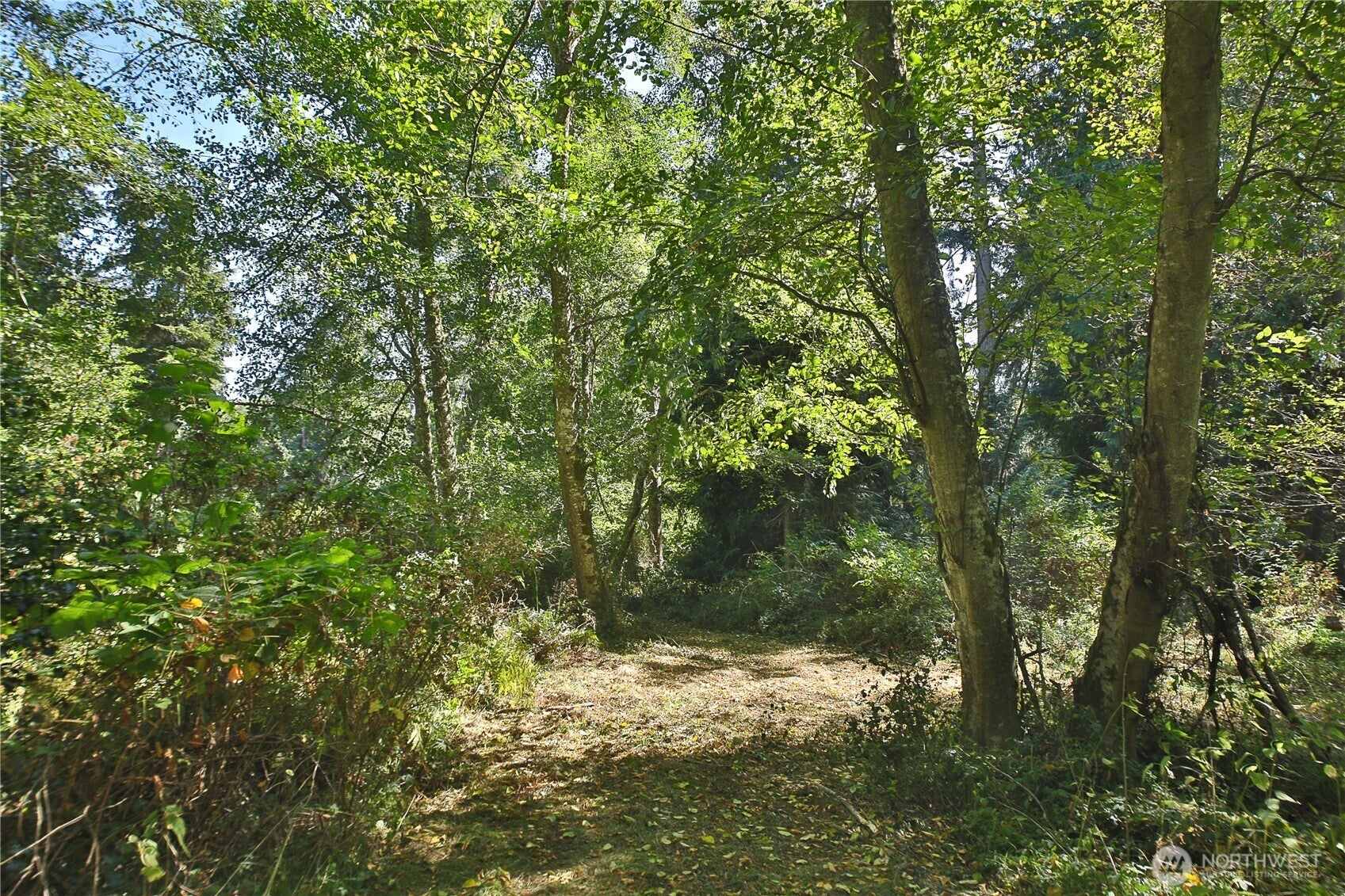 2 Scenic Avenue