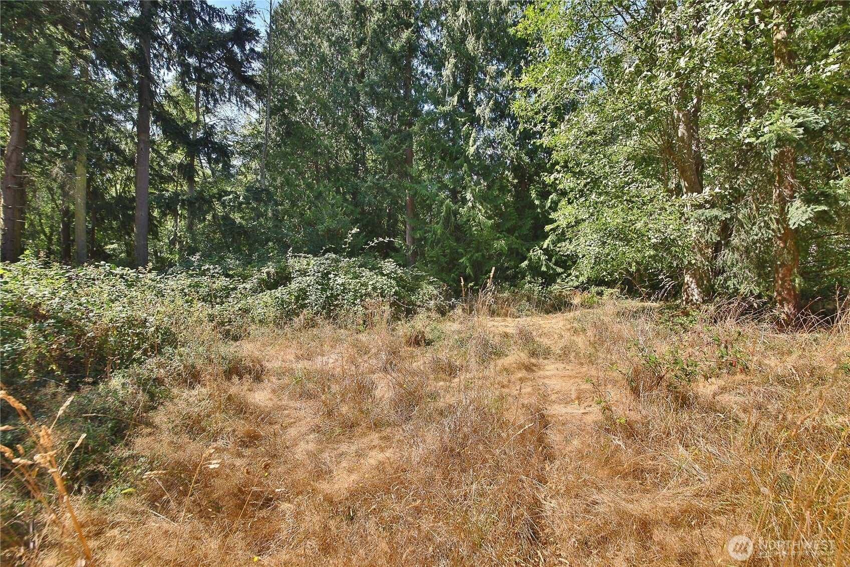 2 Scenic Avenue