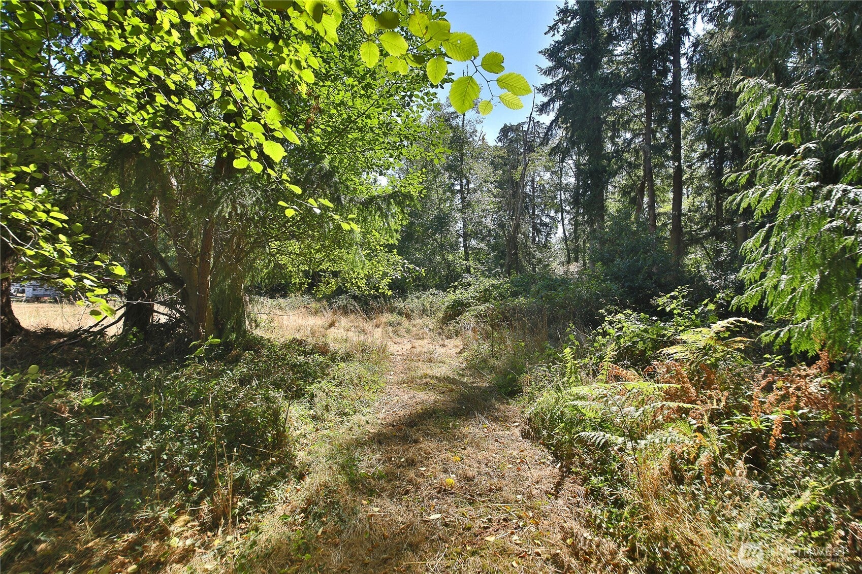 2 Scenic Avenue