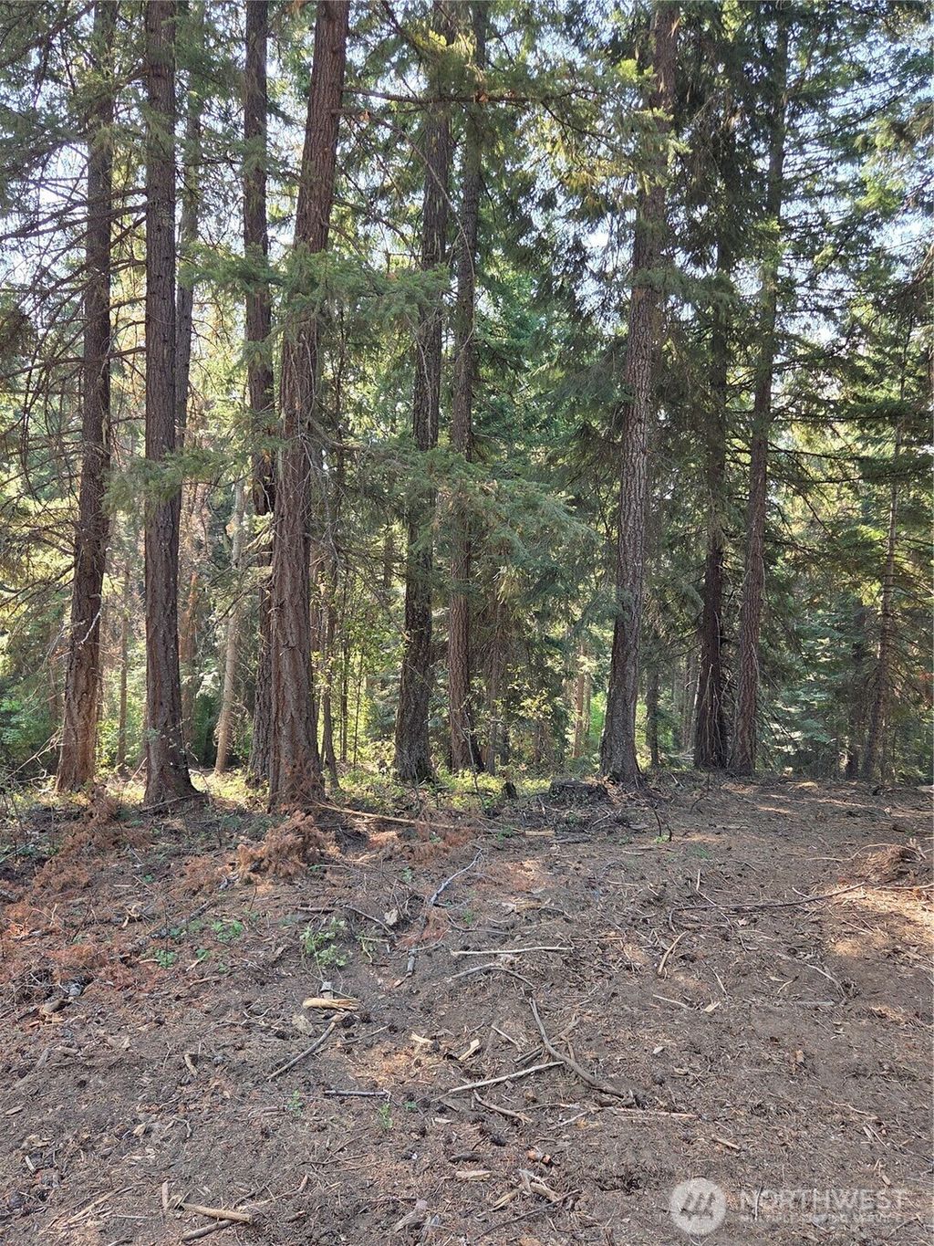 Photo of 8 Double O Road, Ronald, WA 98940 (MLS # 2448481)
