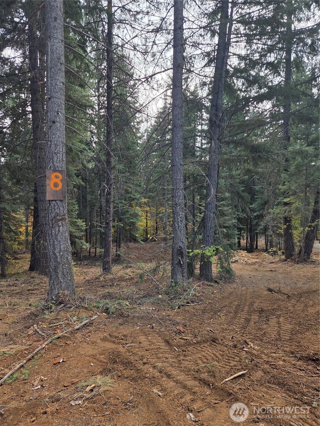 Photo of 8 Double O Road, Ronald, WA 98940 (MLS # 2448481)