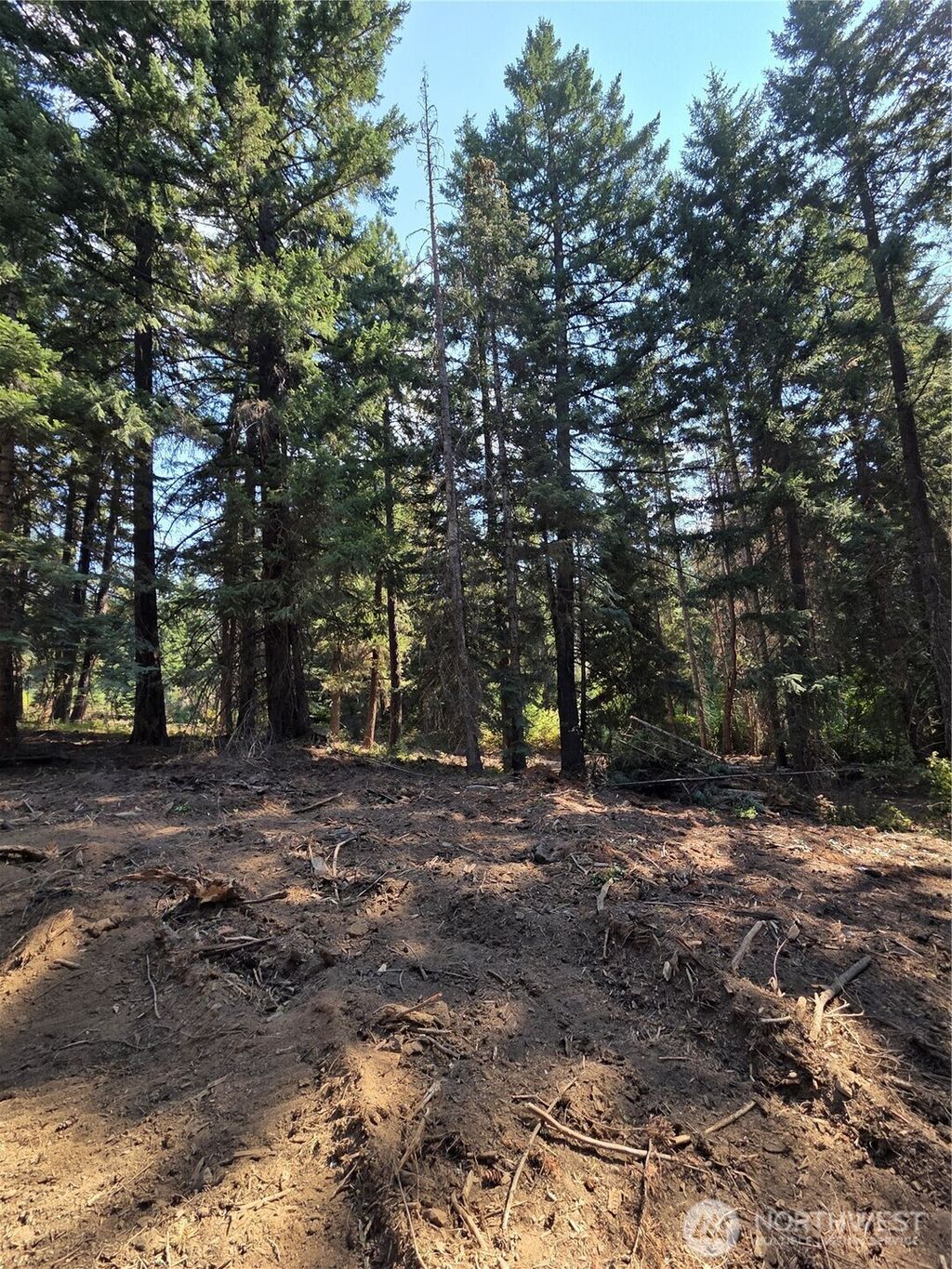 Photo of 8 Double O Road, Ronald, WA 98940 (MLS # 2448481)