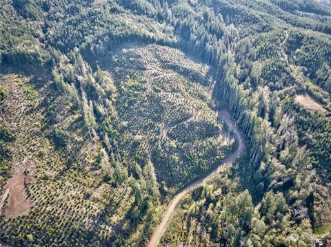 Photo of 0 Tract 2A South Valley Road, Naselle, WA 98638 (MLS # 2175259)