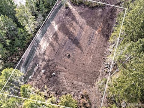 Photo of 621 E Strong Road, Shelton, WA 98584 (MLS # 2494973)