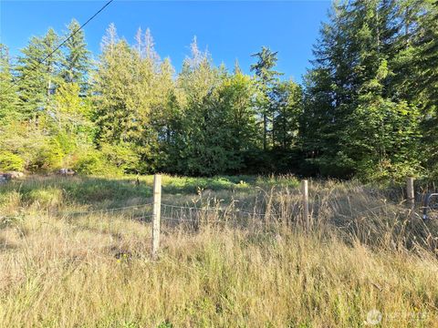 50 W Alder Place Elma WA 98541