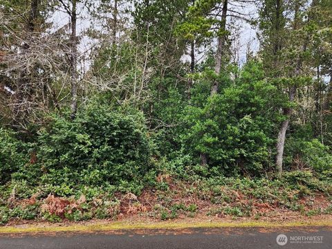 Photo of 278 XX O Street, Ocean Park, WA 98640 (MLS # 2332831)