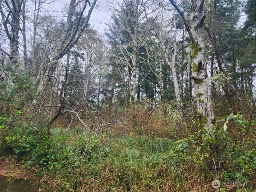 Photo of 670 Weatherwax Loop NE, Ocean Shores, WA 98569 (MLS # 2497277)