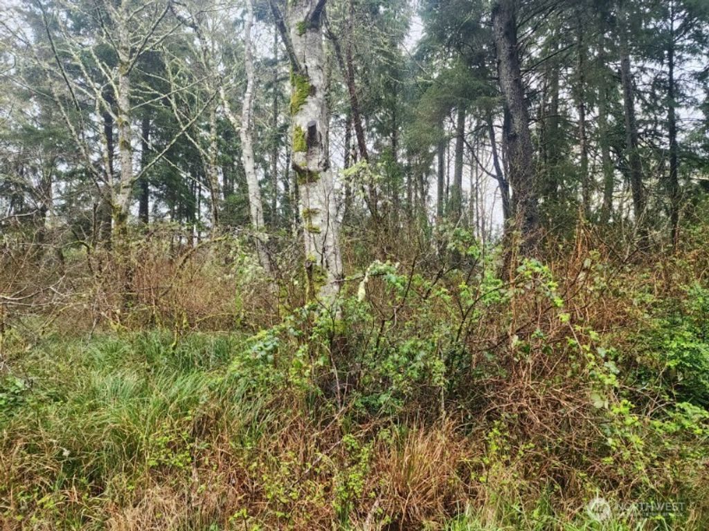 Photo of 670 Weatherwax Loop NE, Ocean Shores, WA 98569 (MLS # 2497277)