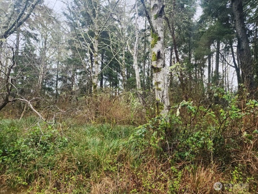 Photo of 670 Weatherwax Loop NE, Ocean Shores, WA 98569 (MLS # 2497277)