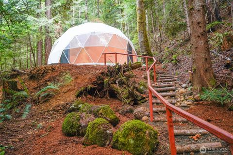 13 Dow Ridge Road Hoodsport WA 98548