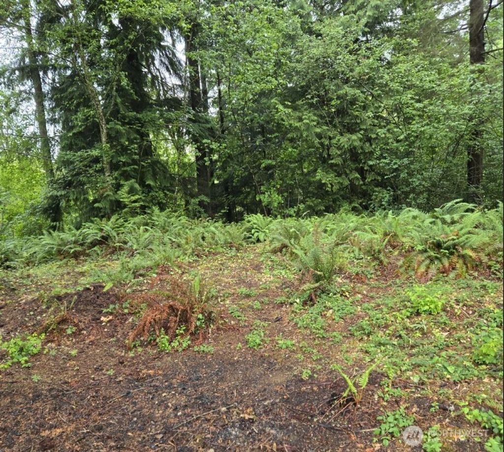 Photo of 15600 SE 234th Street, Kent, WA 98042 (MLS # 2452360)