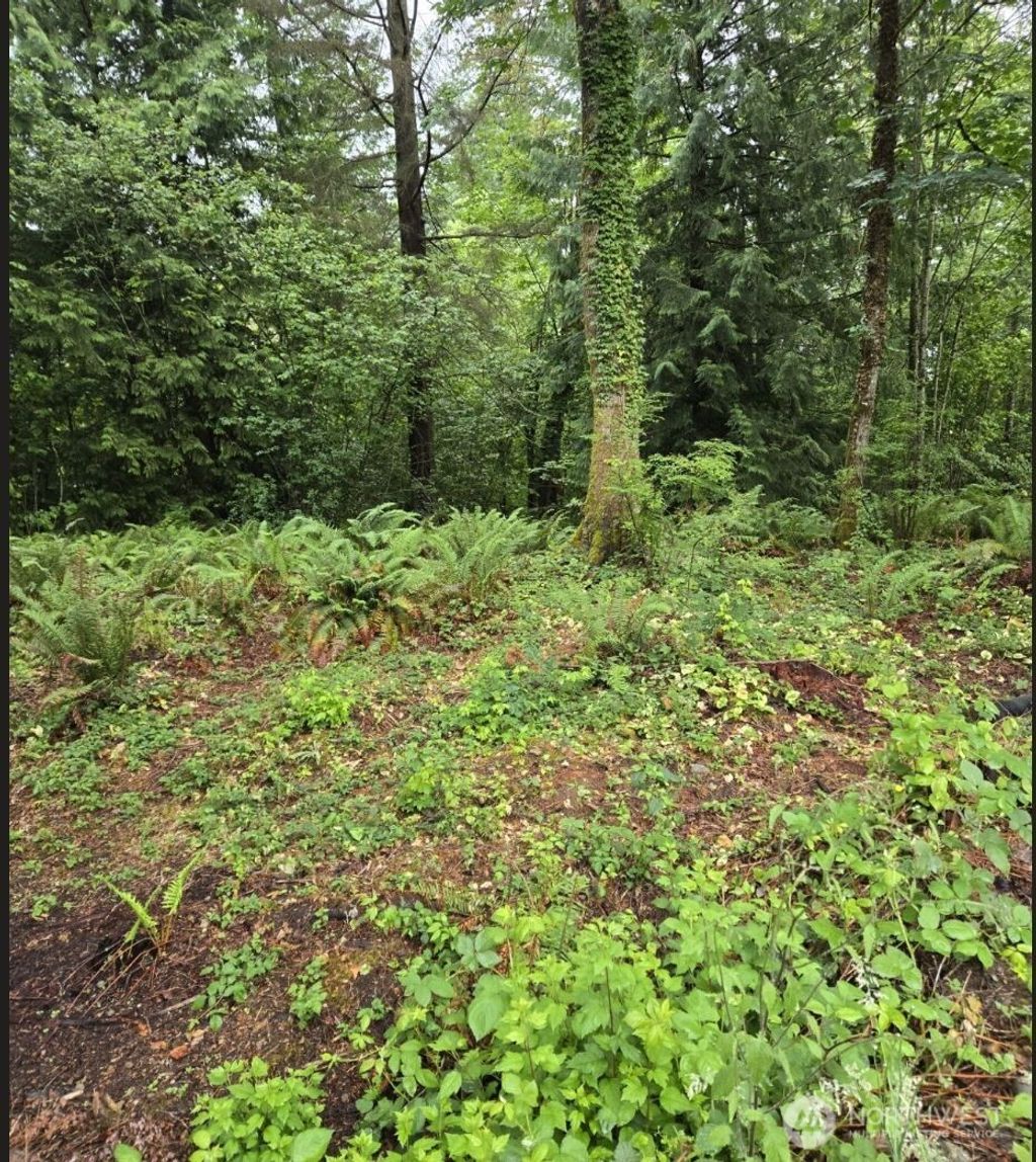 Photo of 15600 SE 234th Street, Kent, WA 98042 (MLS # 2452360)