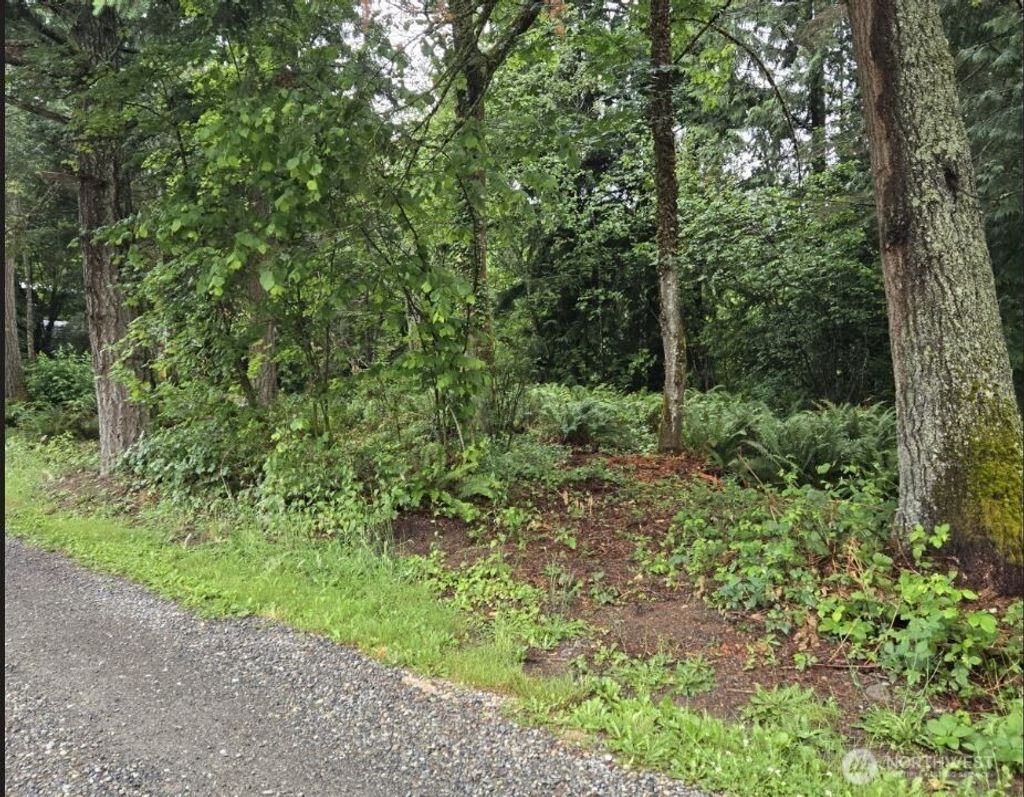 Photo of 15600 SE 234th Street, Kent, WA 98042 (MLS # 2452360)