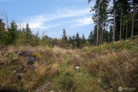 0 184th Avenue E Bonney Lake WA 98391