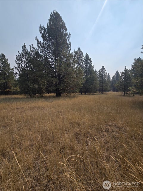 Photo of 0 TBD Turner Lake Road, Tonasket, WA 98855 (MLS # 2570452)