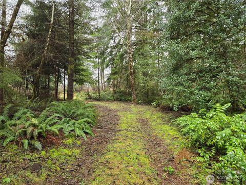 0 W Elk Hill Road Elma WA 98541