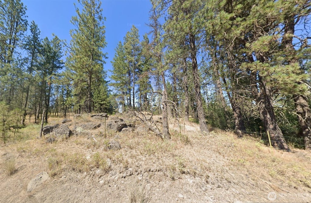 Photo of 24535 S Pine Spring Road, Cheney, WA 99004 (MLS # 2590312)