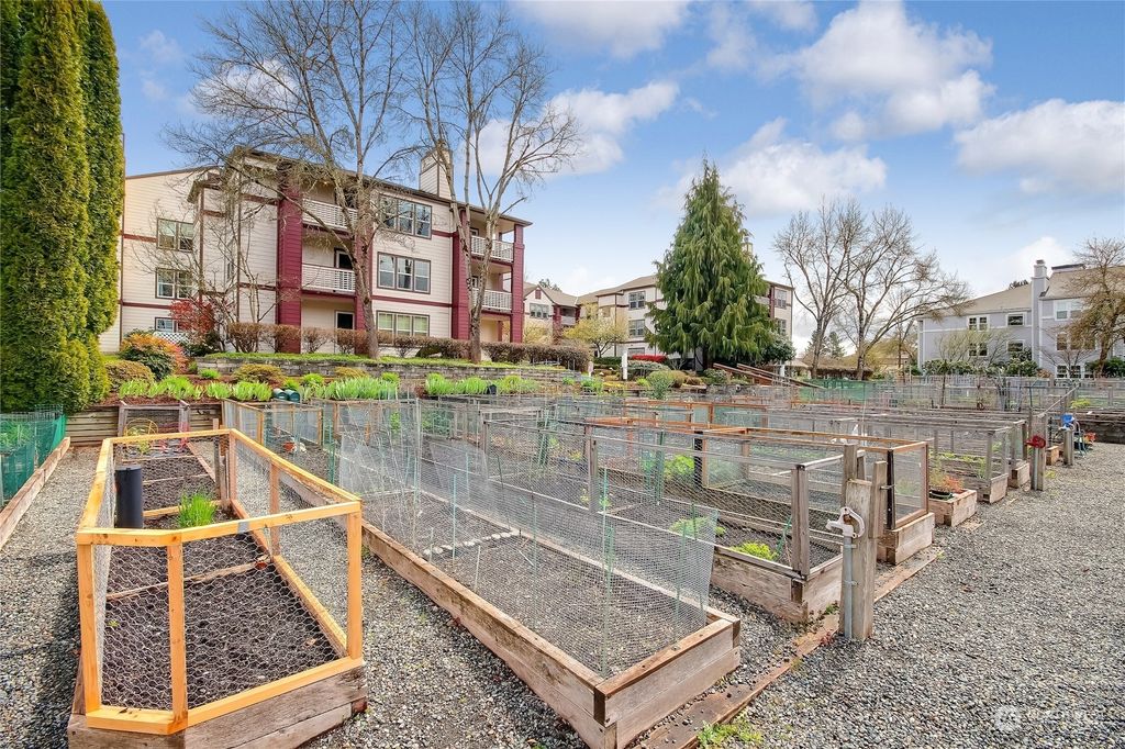 Photo of 3935 226th Place SE #314, Issaquah, WA 98029 (MLS # 2054472)