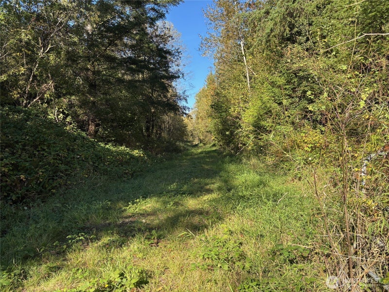 2046 Burk Road