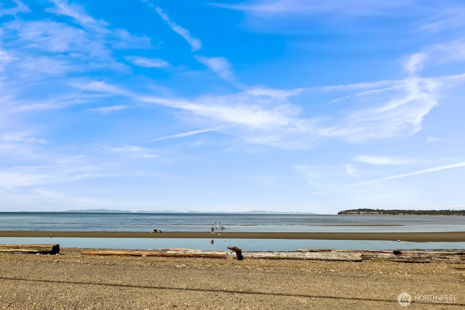 7806 Birch Bay Drive 1107