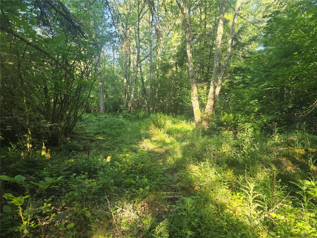 Photo of 13701 Starflower Lane SE, Yelm, WA 98597 (MLS # 2540342)