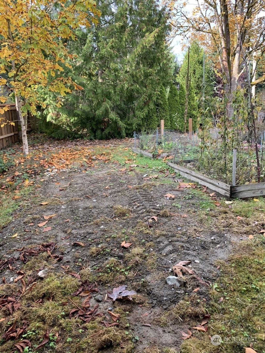 Photo of 14010 NE 85th Court, Redmond, WA 98052 (MLS # 2014357)