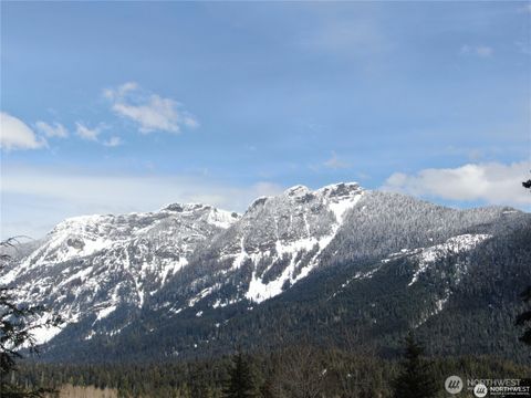 91 Arlberg Place Snoqualmie Pass WA 98068