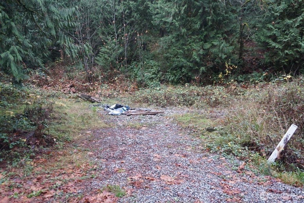 Photo of 4703 Ames Lake Carnation Rd Rd NE, Redmond, WA 98053 (MLS # 2458359)