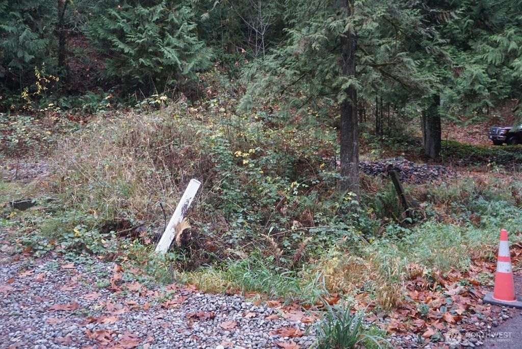 Photo of 4703 Ames Lake Carnation Rd Rd NE, Redmond, WA 98053 (MLS # 2458359)