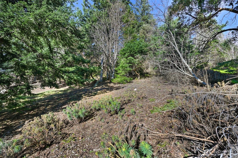 405 Arbutus Place