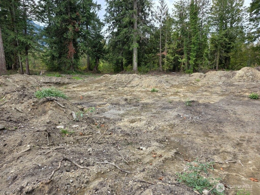 Photo of 1212 Croft Avenue, Gold Bar, WA 98251 (MLS # 2441591)