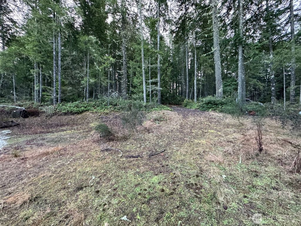 Photo of 0 NW Center Hite Road, Seabeck, WA 98380 (MLS # 2462840)