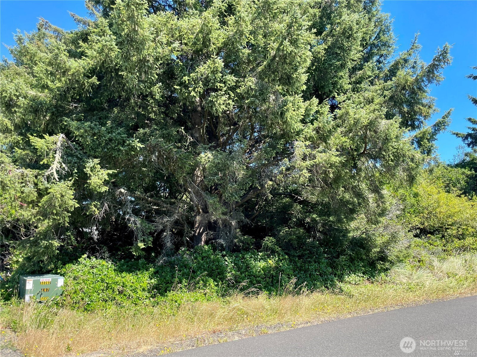 138 N Razor Clam Drive SW