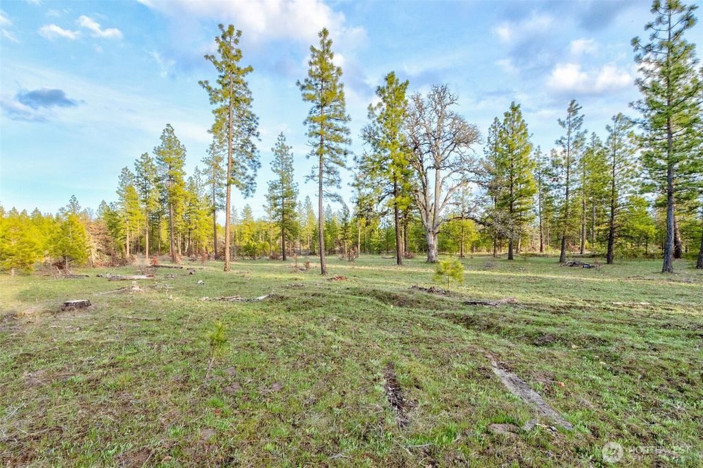 Photo of 0 Lot 7 Greyback Mountain Road, Goldendale, WA 98620 (MLS # 2496855)