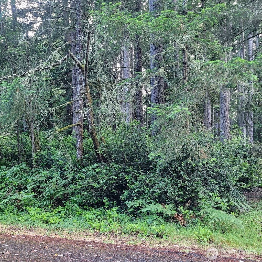 Photo of 8922 129th Avenue Ct, Anderson Island, WA 98303 (MLS # 2513493)