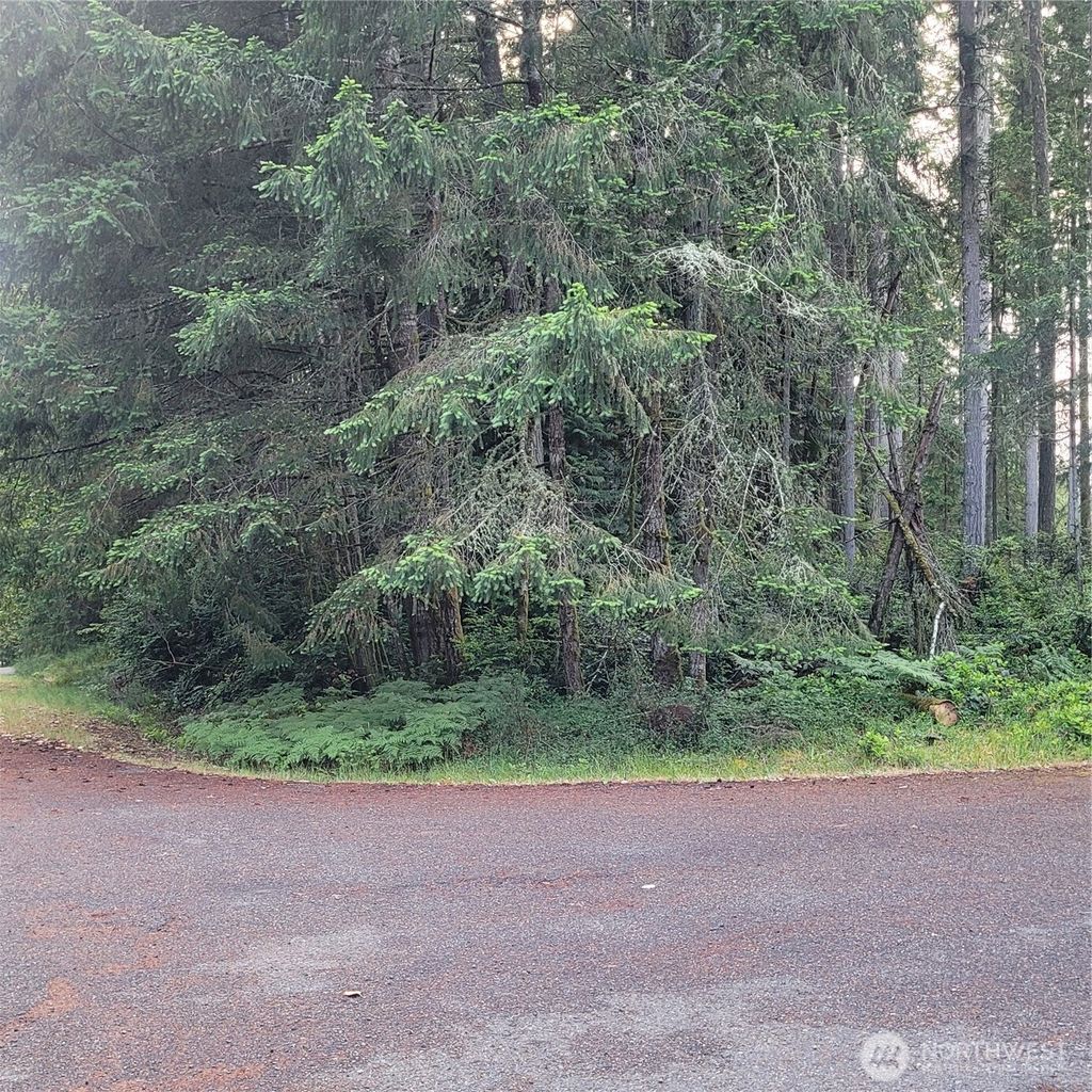Photo of 8922 129th Avenue Ct, Anderson Island, WA 98303 (MLS # 2513493)
